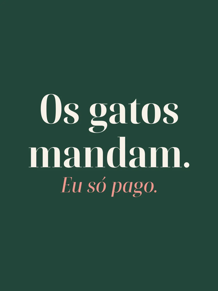 Be Like Family: Os gatos mandam. Eu só pago.